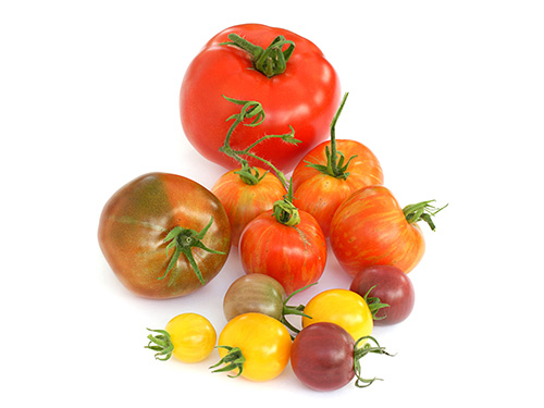 Heritage Vine Tomatoes