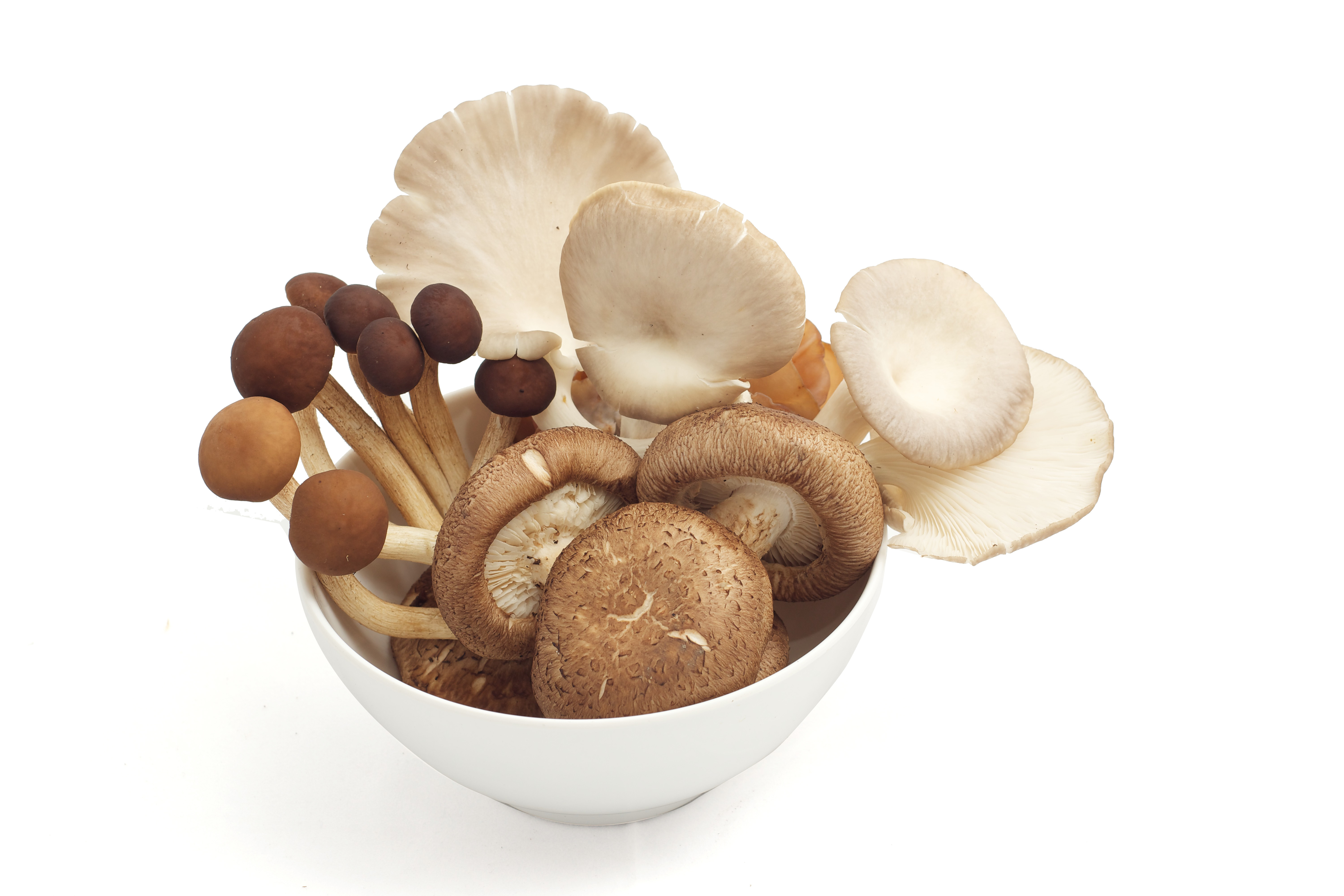 Mixed Oriental Mushrooms