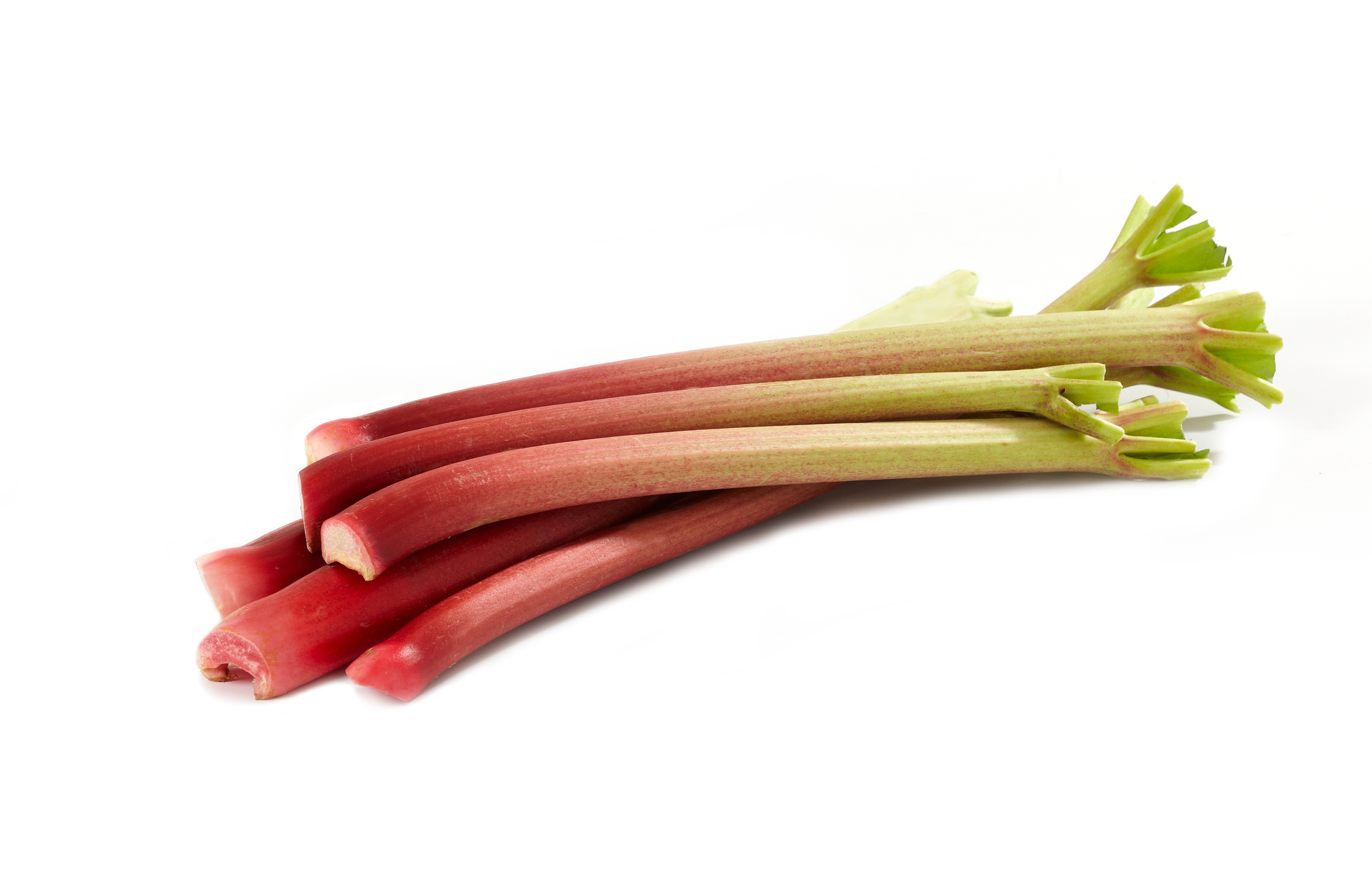 Forced Rhubarb