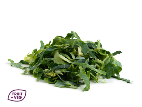 Prepared Shredded Spring Green Cabbage