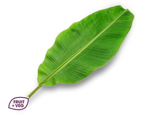 Banana Leaves