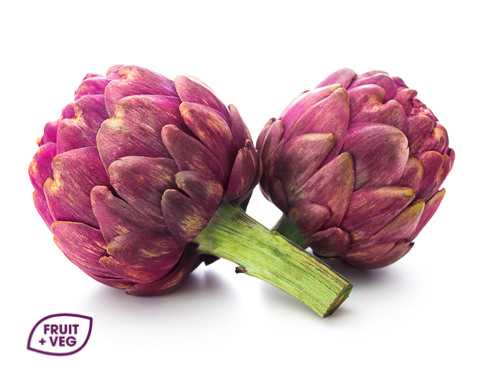 Purple Artichoke