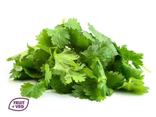 Fresh Coriander