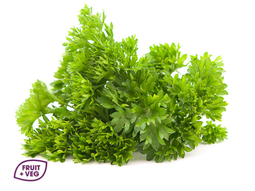 Fresh Curly Parsley