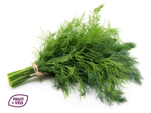 Fresh Dill