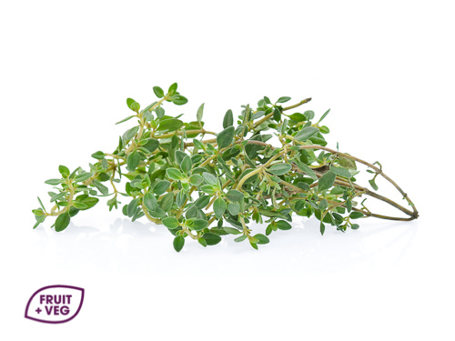 Fresh Lemon Thyme