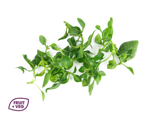 Micro Basil Cress