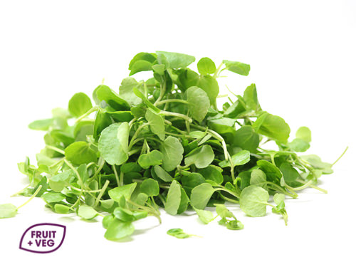 Micro Watercress