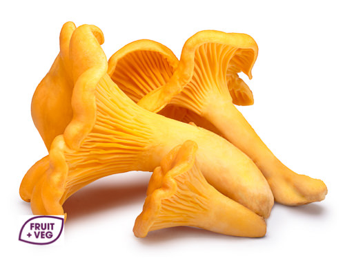 Girolles Mushrooms USA