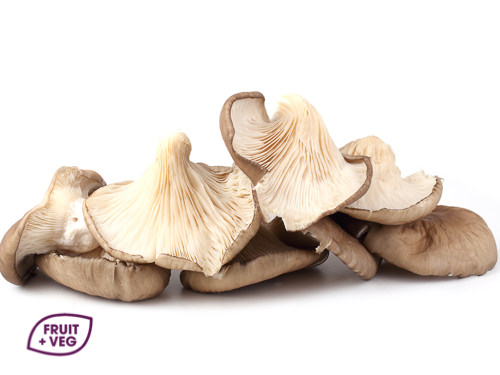Grey Oyster Mushrooms