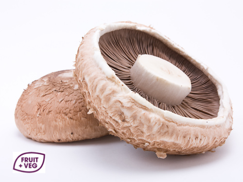 Portobello Mushroom