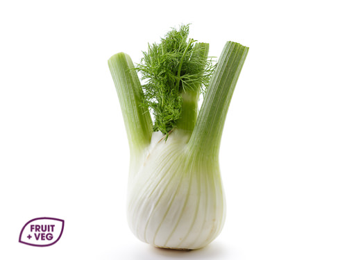 Fennel