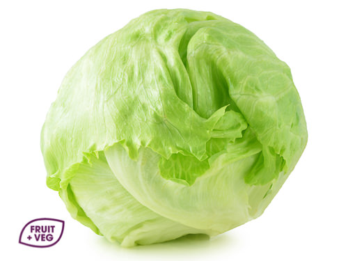 Iceberg Lettuce