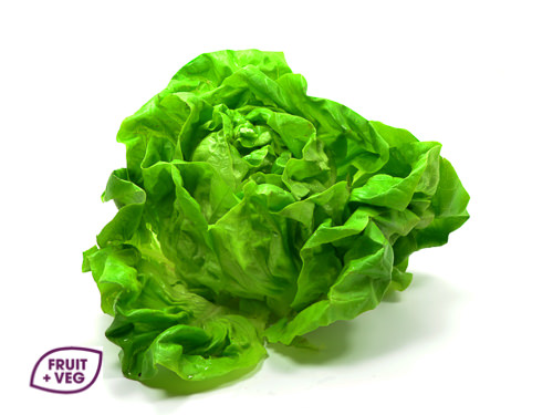 Round Lettuce