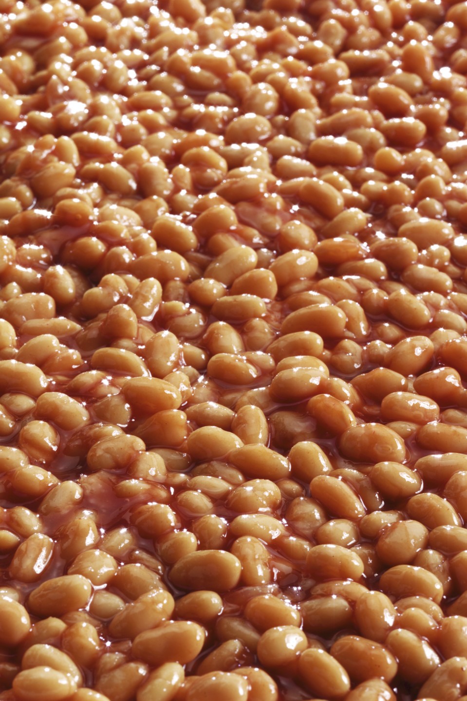 Heinz Baked Beans - No Added Sugar - Catering