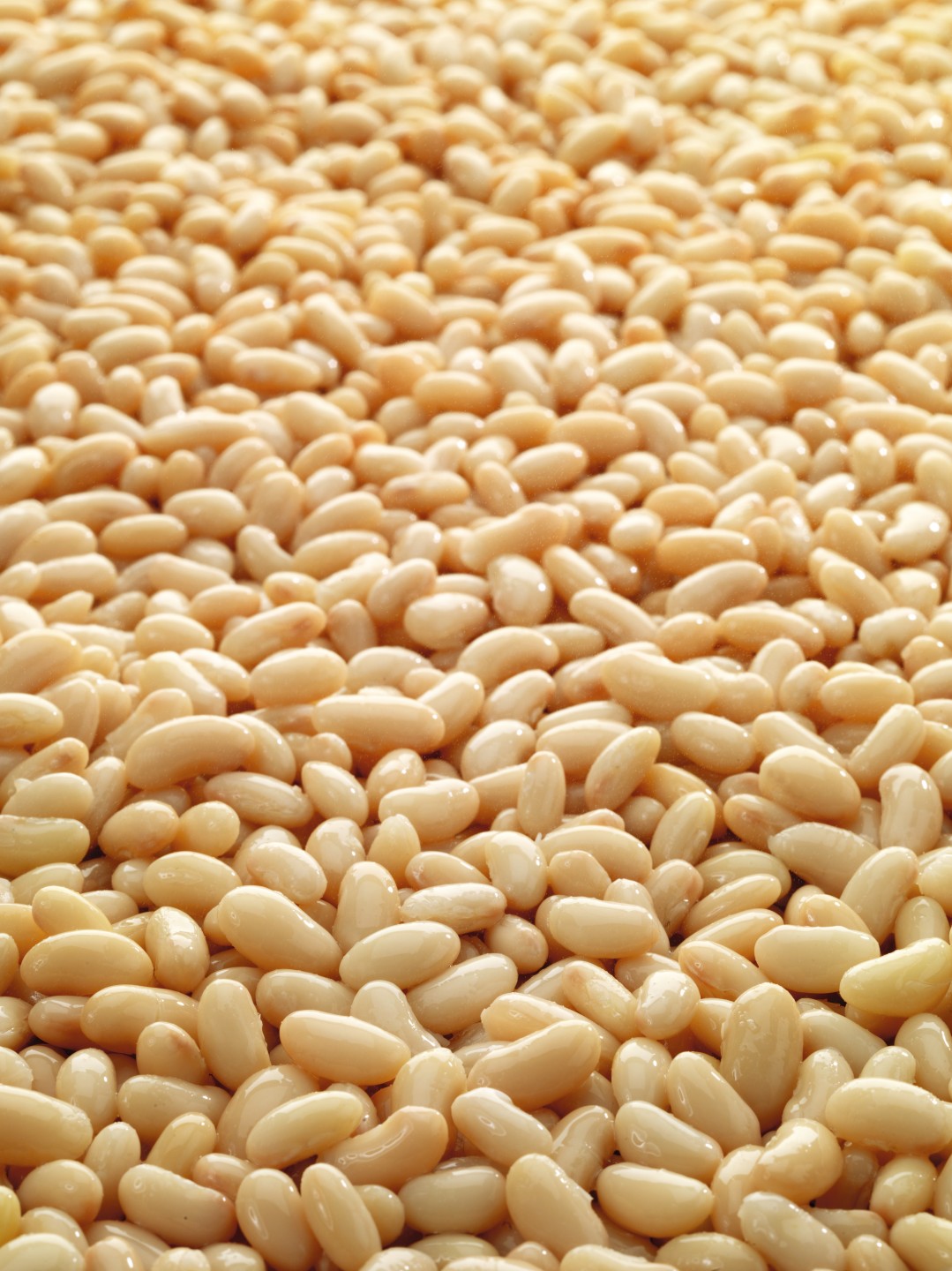 Cannellini Beans