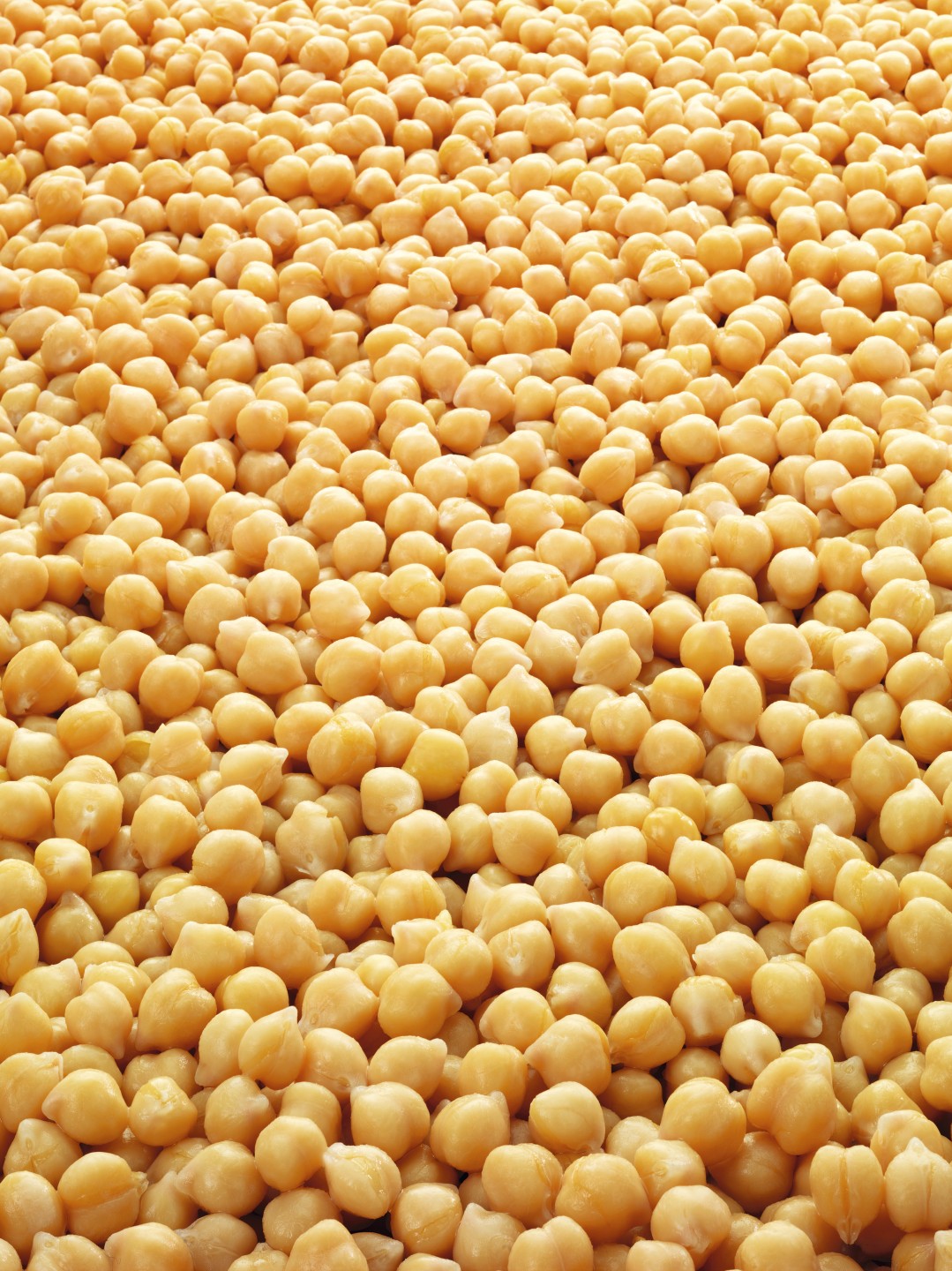 Chickpeas in Brine