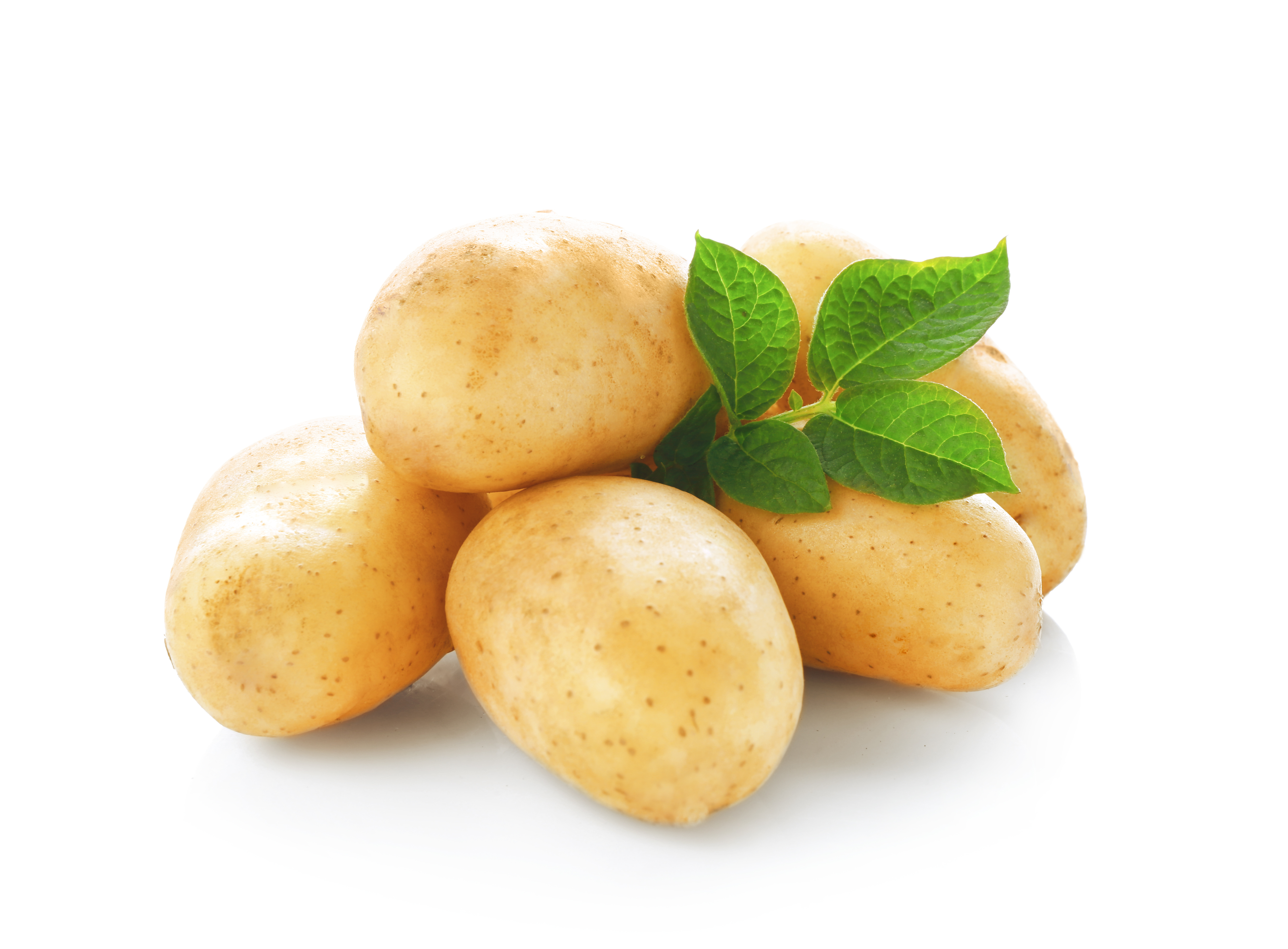 Washed Mid Potatoes
